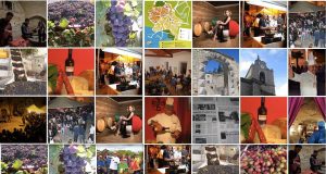 Visite e degustazioni gratuite a Orsara tra vigne e forni