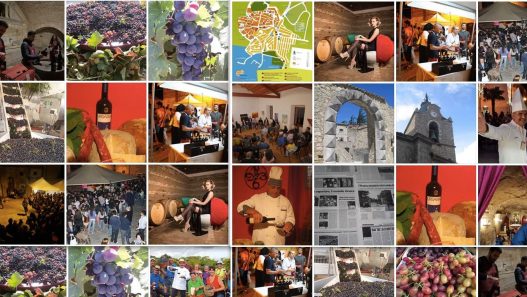 Visite e degustazioni gratuite a Orsara tra vigne e forni