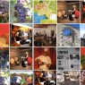 Visite e degustazioni gratuite a Orsara tra vigne e forni