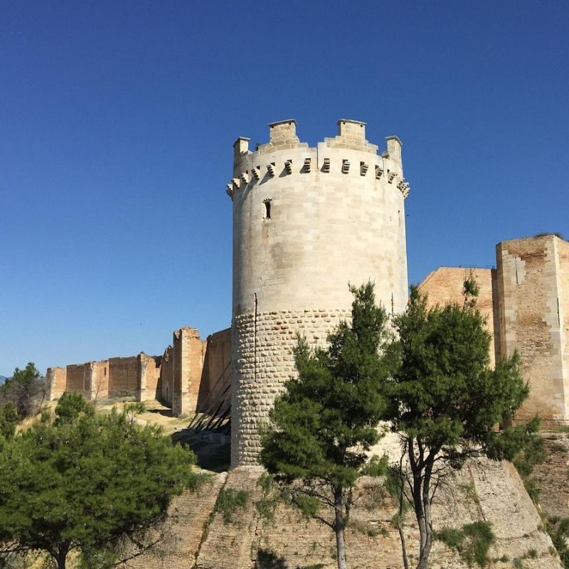 Progetto senza titolo (7)